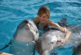 Kāpēc jūs sapņojat par delfīniem: vai jums vajadzētu būt laimīgam vai skumjam?