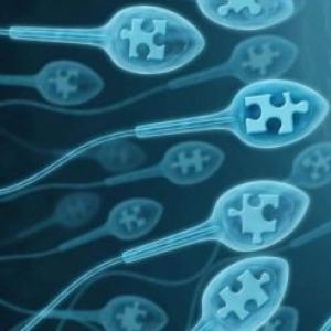 Pamatnoteikumi spermogrammu ņemšanai vīriešiem