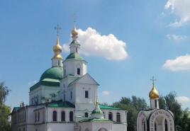 Mošti svete Matrone Moskovske