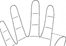 Përcaktimi i fatit dhe karakterit nga forma e dorës - palmistry