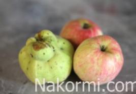 Kış için elma ve ayva kompostosu Ayva kompostosu en sağlıklısıdır