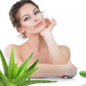 Aloe a aloe vera: léčivé vlastnosti a kontraindikace, recepty doma Co lze léčit agáve