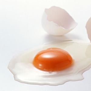 Üreme organlarının hastalıklarının tedavisinde veteriner ilaçlarının kullanılması Yumurta tavukları için kalsiyumun bulunduğu yer