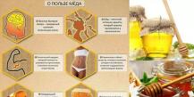 꿀 : 인체에 대한 유익과 해로움