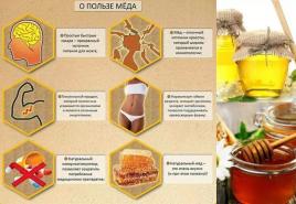 꿀 : 인체에 대한 유익과 해로움