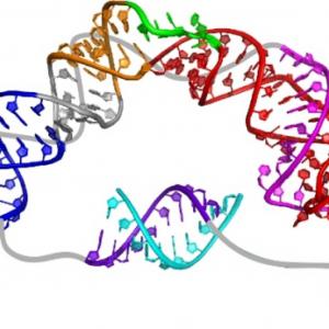 Struktura a mechanismus účinku enzymů
