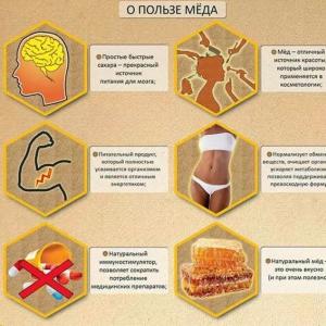 Med: přínosy a škody pro lidské tělo