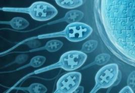Základní pravidla pro odběr spermiogramu u mužů