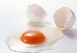 Üreme organlarının hastalıklarının tedavisinde veteriner ilaçlarının kullanılması Yumurta tavukları için kalsiyumun bulunduğu yer