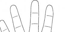 Određivanje sudbine i karaktera prema obliku ruke - hiromantija
