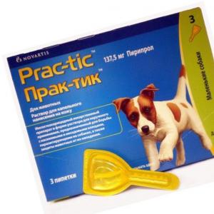 Pilieni Praktik suņiem: apraksts un instrukcijas Praktizētājs no ērcēm suņiem