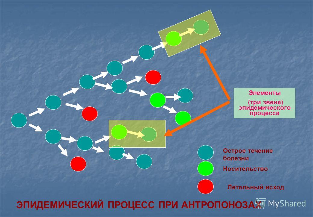 3 звена эпидемического процесса